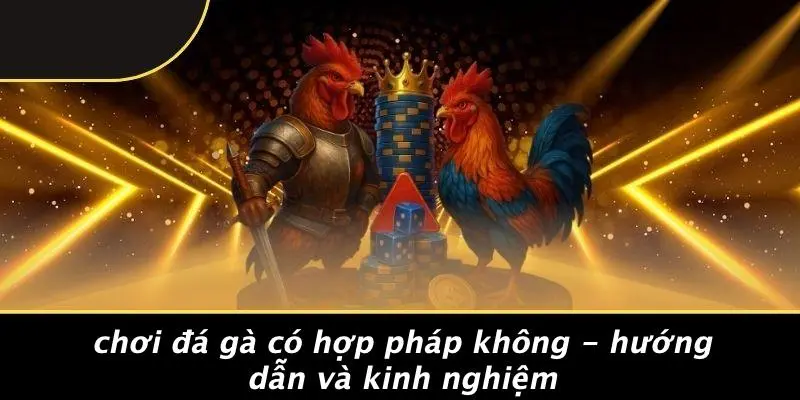 Chơi đá gà có hợp pháp không
