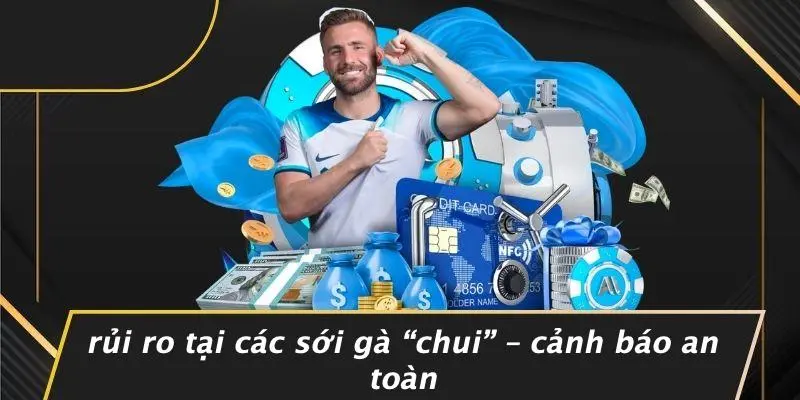Rủi Ro Tại Các Sới Gà “chui” – Cảnh Báo An Toàn