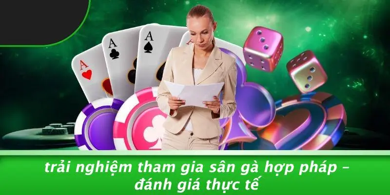 Trải Nghiệm Tham Gia Sân Gà Hợp Pháp – Đánh Giá Thực Tế